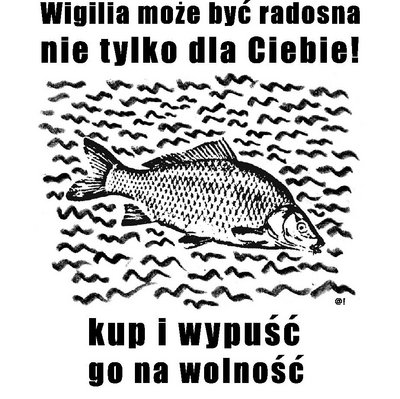 Plakat z karpiem