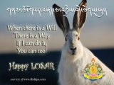 Not-so-iron rabbit :)