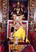 Pakciok Rinpocze